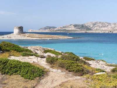 Spiaggia della Pelosa di Stintino � Una delle spiagge pi� famose di tutta la Sardegna, situata all�estremit� a nord-ovest dell�isola. E� caratterizzata da sabbia bianchissima e acque cristalline circondate da macchia mediterranea. Prende il suo nome dall'isolotto della Pelosa, raggiungibile a piedi attraversando una vicina caletta